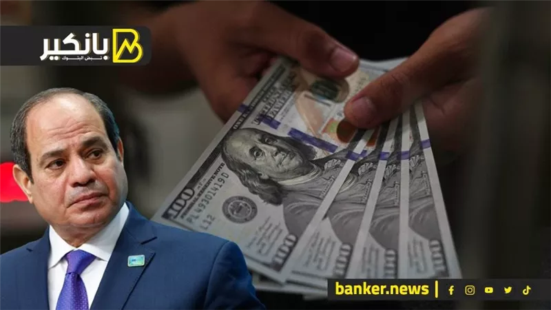 3 إجراءات عاجلة من السيسي تقضي على أزمة الدولار في مصر