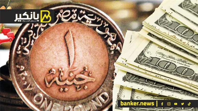 سعر الدولار أمام الجنيه المصري في تعاملات اليوم الثلاثاء 5-3-2024