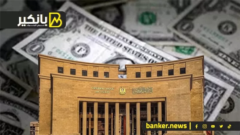 خبير اقتصادي: قرار تحرير سعر الصرف سينعكس إيجابيا على أسعار السلع