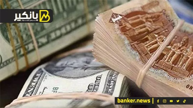 البنوك في مصر تبدأ تحريك سعر الجنيه أمام الدولار.. وأعلى سعر 43 جنيها للدولار في هذا البنك