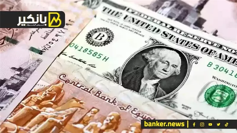 بعد خراب السوق.. خطة تجار العملة لغسل 50 مليار دولار.. مفاجأة في انتظارهم