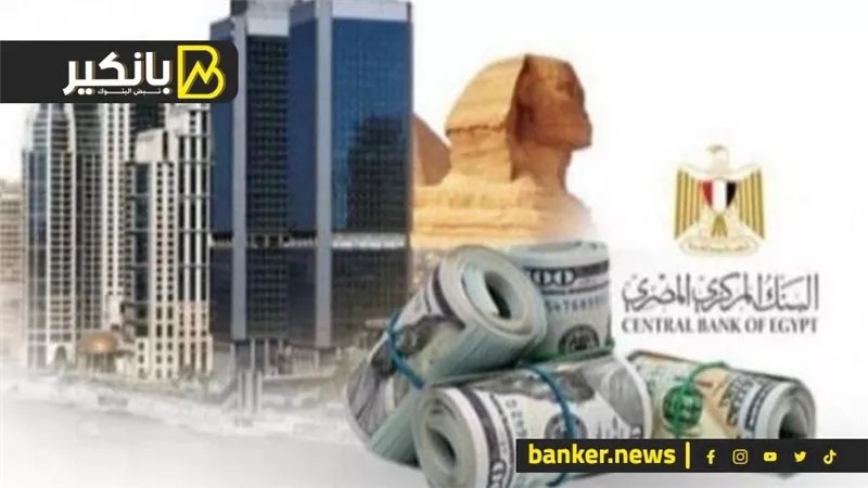 خطة التعالب.. ليلة نجت فيها مصر من الإفلاس والسقوط.. تفاصيل اللحظات الصعبة في أزمة الدولار