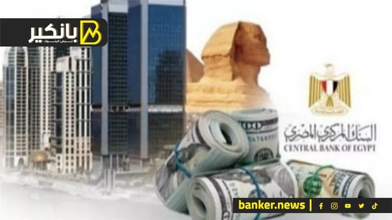 تحرك جديد في ملف بيع الأصول.. الدولارات في الطريق الى مصر