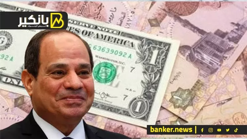 أول تعليق للرئيس السيسي على سعر الدولار بعد تعويم الجنيه