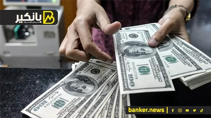 دولارات بالجمله.. وانتهاء أزمة السوق السوداء.. مكاسب تحرير سعر الصرف