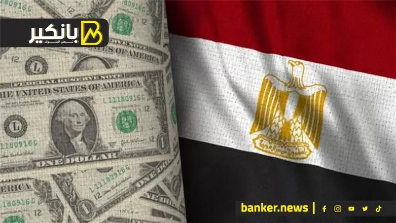 1.3 مليار جنيه قيمة التنازلات عن النقد الأجنبي في مصر للصرافة خلال 12 يوما