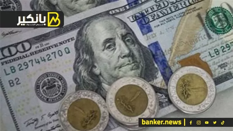لو ليك في البيزنس والاستثمار المضمون.. إزاي تقدر تحقق أعلى مكسب في أقل مدة