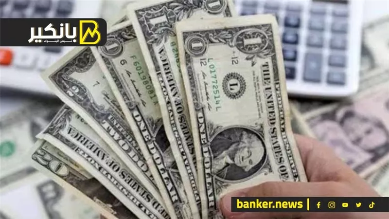 الدولار يواصل الإنخفاض أمام الجنيه في مصر