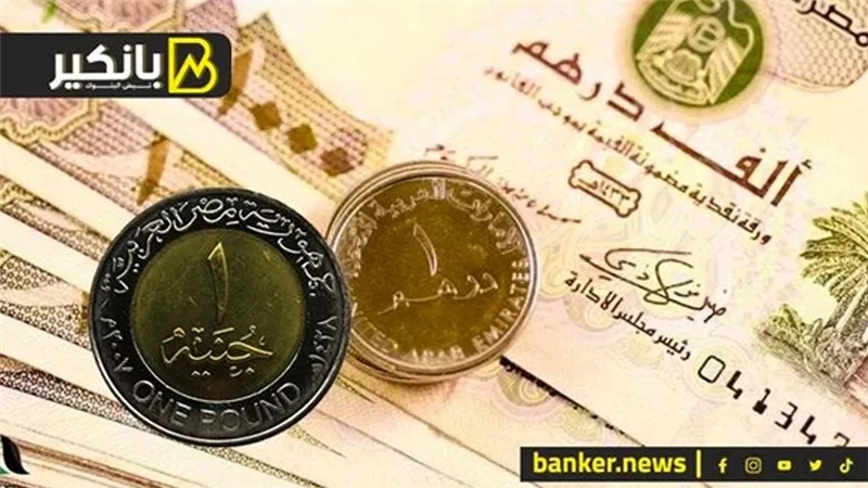 سعر الدرهم الاماراتي أمام الجنيه المصري في تعاملات اليوم الخميس 14-3-2024