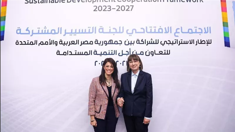 المشاط: تنفيذ برامج تعاون وتدخلات بمنح تنموية قيمتها 178 مليون دولار
