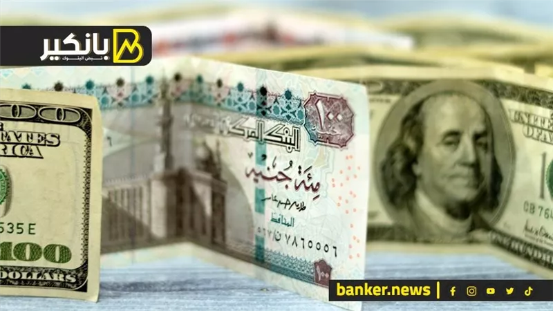 هو الدولار سعره ممكن يوصل كام؟.. مؤسسة دولية تتوقع سيناريو 2024