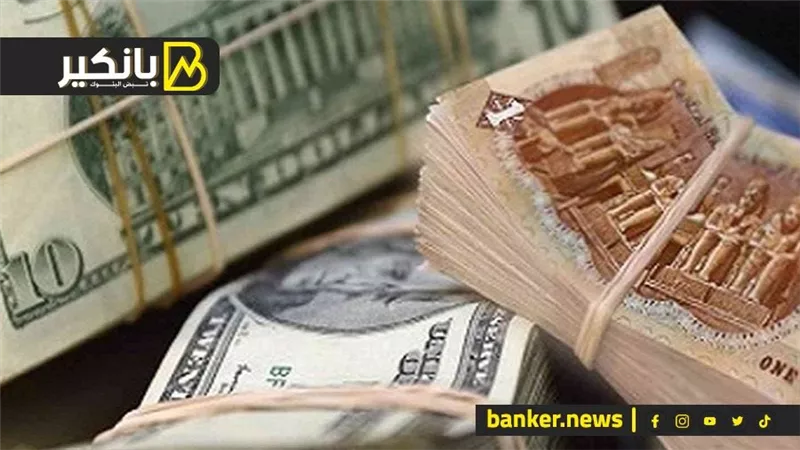 سعر الدولار أمام الجنيه المصري في تعاملات اليوم الأحد 31-3-2024
