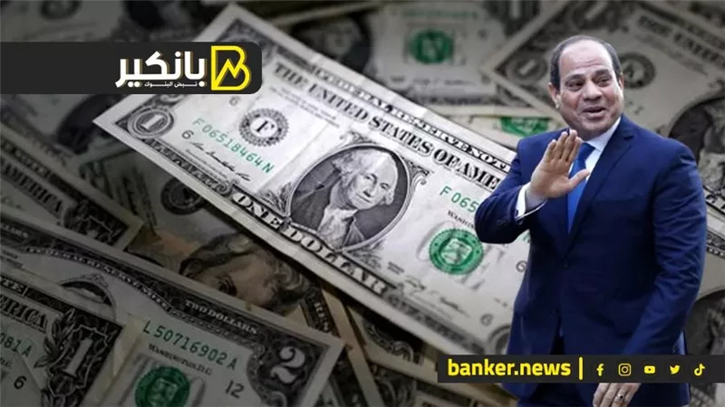 ضربة السيسي الجاية.. جيم أوفر والتعابين هربت