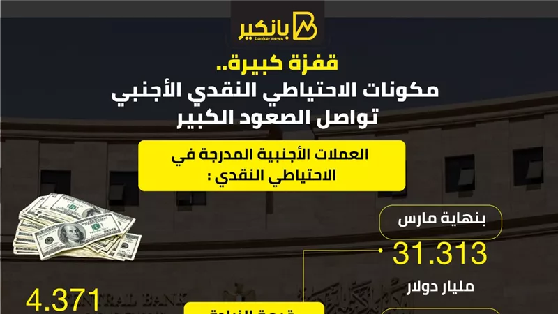 قفزة كبيرة.. مكونات الاحتياطي النقدي الأجنبي تواصل الصعود الكبير