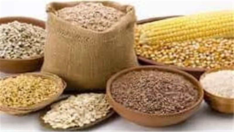 هبوط أسعار أعلاف الدواجن فى الأسواق