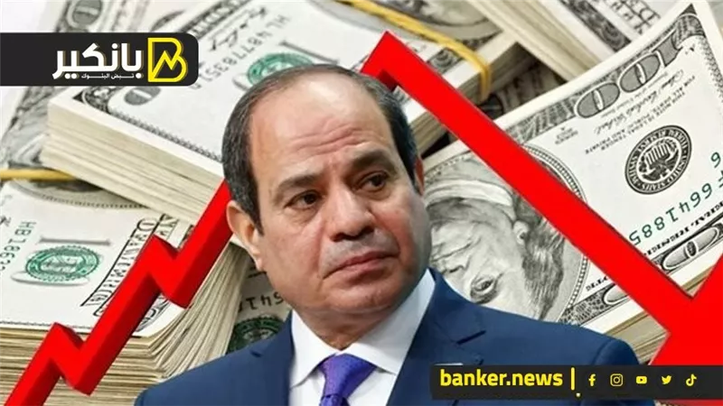 بعد الترويض.. خطة السيسي لتوطين الدولار في مصر