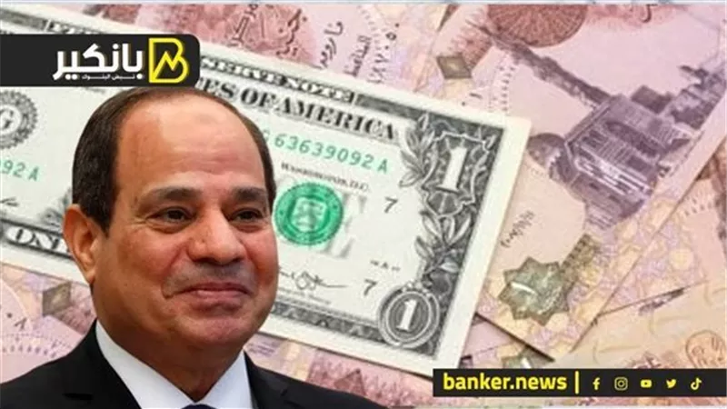 قاضية السيسي لتجار العملة.. حاجة محدش عمل حسابها خالص