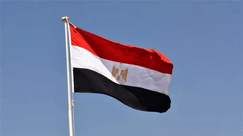 الأتراك داخلين مصر بتقلهم.. وشركات أردوغان تستهدف هذا القطاع