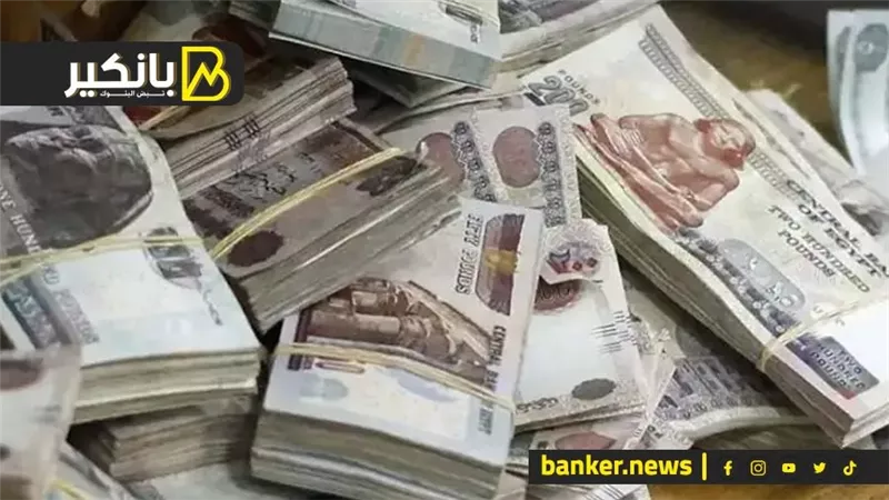 لو معاك 30 الف جنيه.. هتاخذ مكسب 8100 جنيه كل سنة شوف الطريقة ازاي