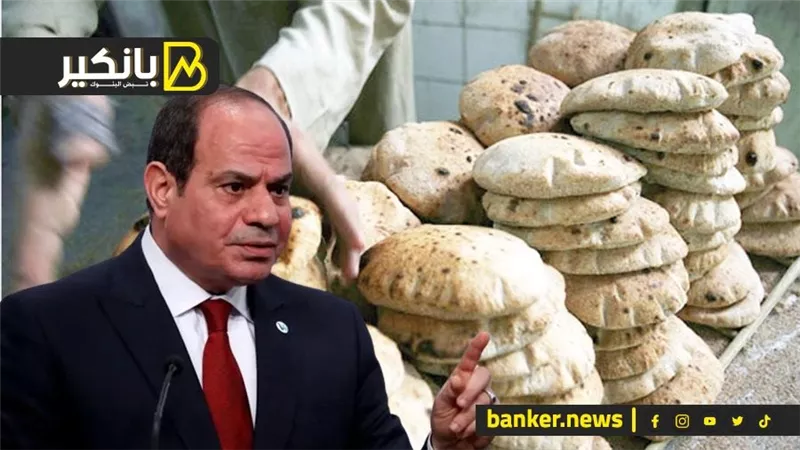 معركة السيسي لتأمين رغيف العيش للمصريين.. شوف اللي بيحصل