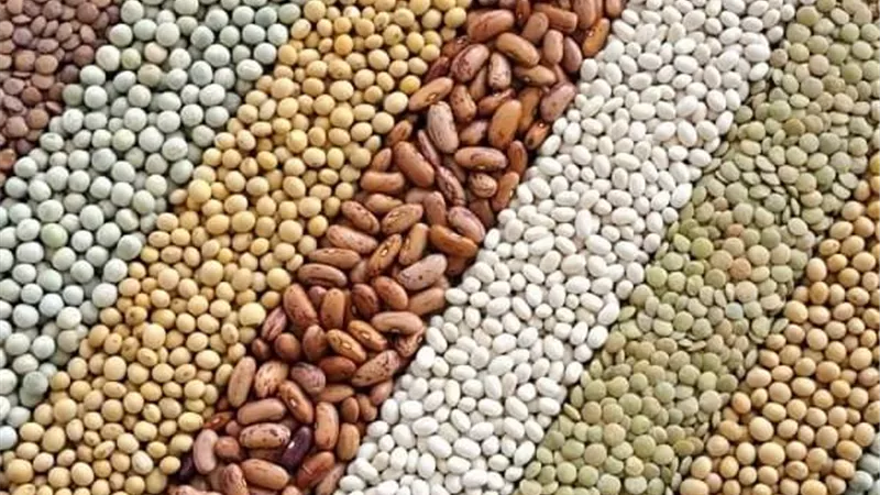 الحكومة المصرية تعلق على أنباء إستيراد 