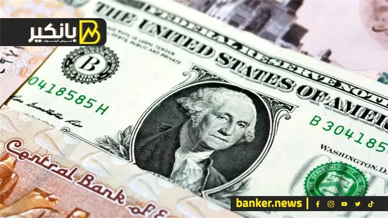 تراجع طفيف للدولار أمام الجنيه في أغلب البنوك ختام تعاملات اليوم