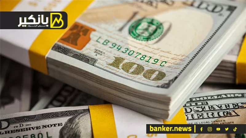 تحرك عاجل من البنك المركزي في ملف الدولار.. خطوة استباقية لتجنب أزمة كبيرة