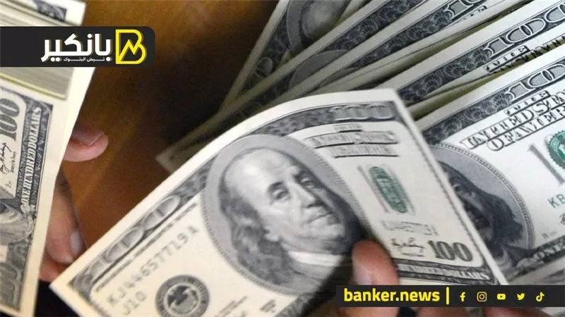 كنز هيخلص مصر من أزمة الدولار.. إيه اللى بيحصل في قناة السويس؟