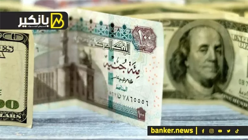 سعر الدولار اليوم الأربعاء 29 مايو 2024 في البنك المركزي المصري