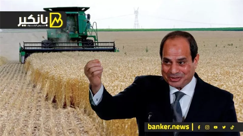 الرئيس عبد الفتاح