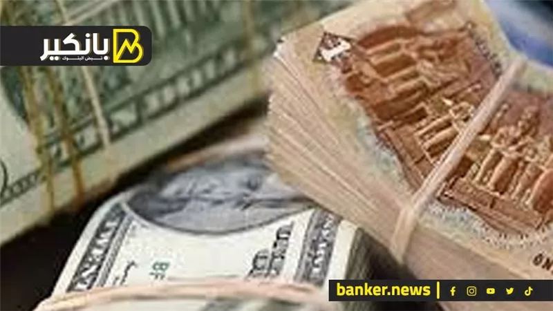 سعر الدولار اليوم