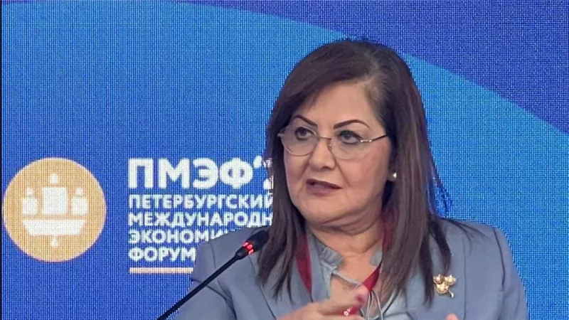 وزيرة التخطيط: دول البريكس تمثل 42% من إنتاج الحبوب العالمي و40% من الاستهلاك