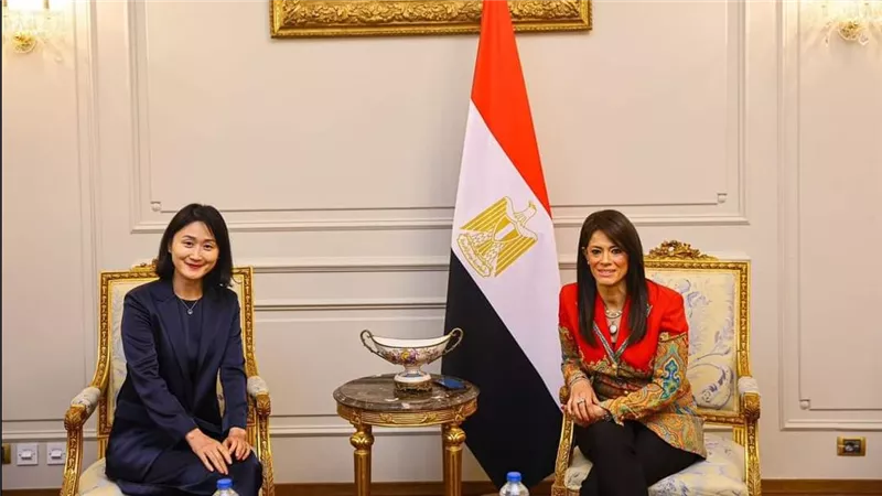 المشاط تبحث مع مسئولي الوكالة الصينية للتعاون الإنمائي تفعيل مذكرة التفاهم حول مبادلة الديون