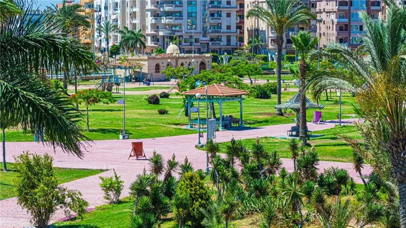 الإسكان: زراعة أكثر من مليون م2 مسطحات خضراء بدمياط الجديدة