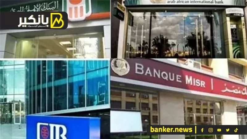 البنوك الخمسة الكبار بالسوق المصرية تستحوذ على 63% من أرباح القطاع