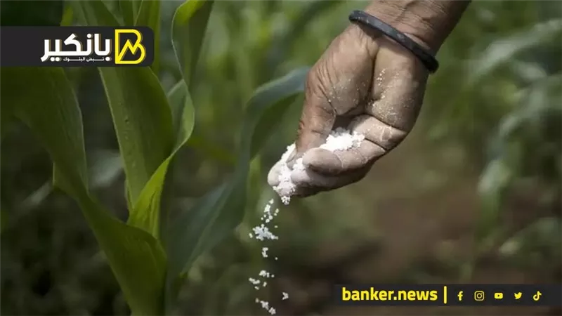3 دول كبرى مهتمة بالاستثمار في مصر.. اجتماع مهم مع شنايدر.. وانخفاض مفاجيء للذهب