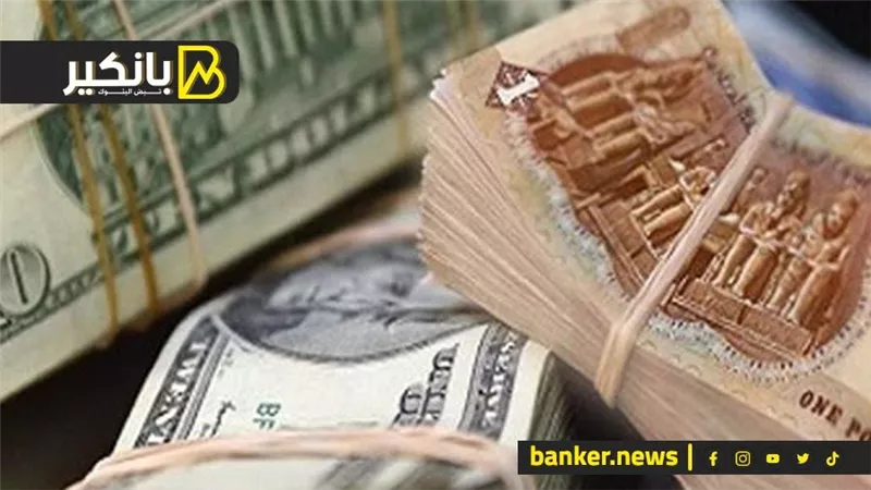خبير يتوقع انخفاض طفيف في سعر الدولار أمام الجنيه خلال الشهرين المقبلين لهذه الأسباب