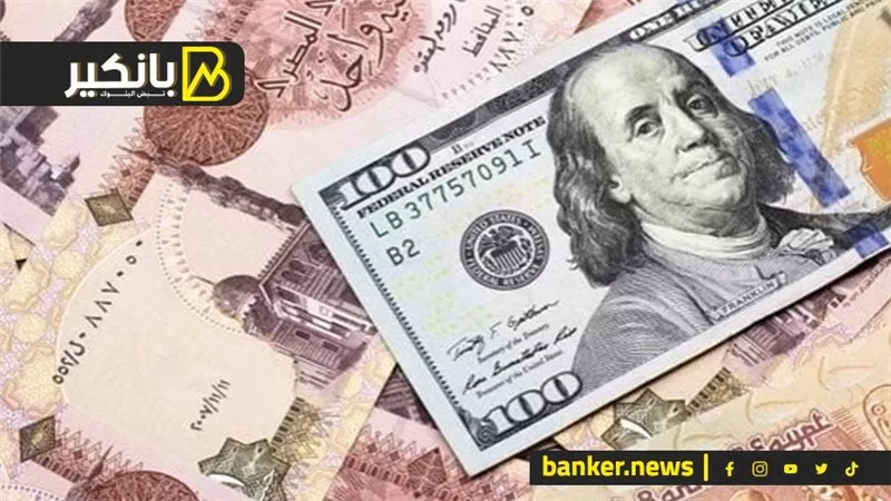 لليوم الثاني على التوالي.. الجنيه المصري يرتفع أمام الدولار في نهاية تعاملات اليوم
