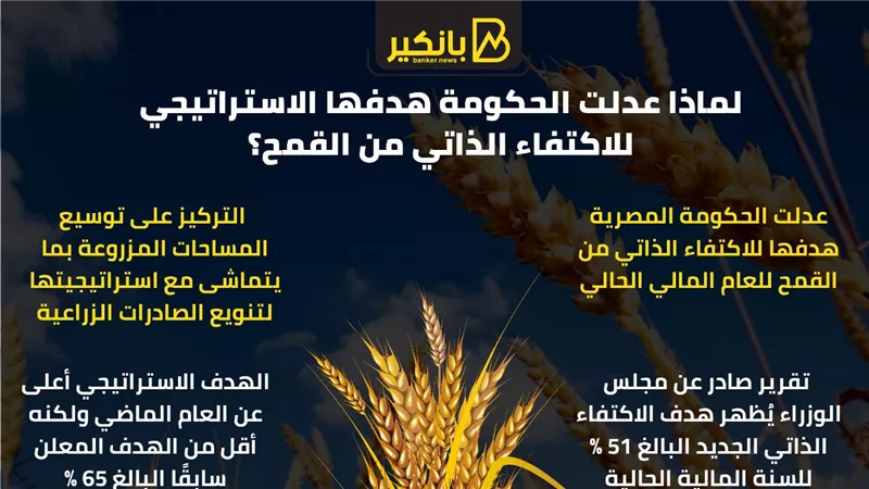 لماذا عدلت الحكومة هدفها الاستراتيجي للاكتفاء الذاتي من القمح؟