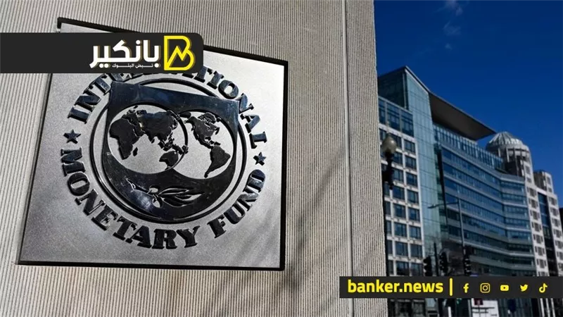 صندوق النقد الدولي: خطة زامبيا لإلغاء الدولرة قد تكون غير منتجة