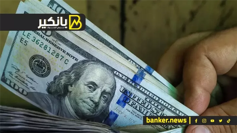 نزيف الدولار.. شوف هيوصل كام بعد الهبوط الكبير بالبنوك