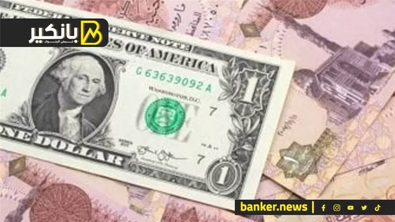 إزاي الدولار بيزيد والحكومة بتقول الأسعار نزلت.. شوف المفاجأة