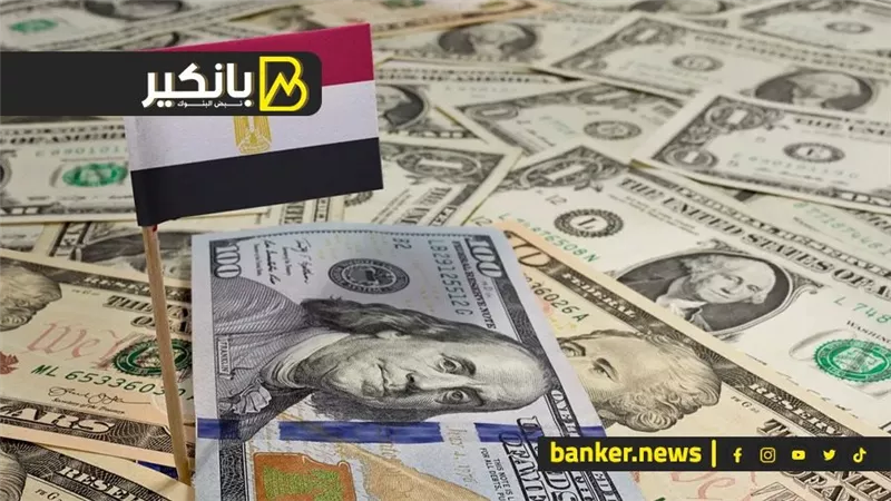 العالم يترقب تسونامي الدهب.. وإنذار أخير للحكومة من شعبة السيارات.. وسر عودة الأموال الساخنة.. وصندوق النقد ناوي على ايه بكرة