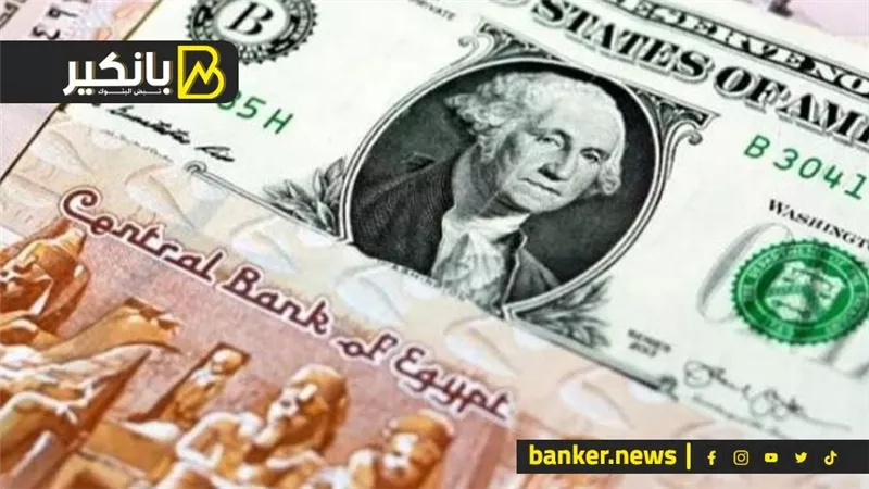 سعر الدولار أمام الجنيه المصري في تعاملات اليوم الإثنين 29-7-2024