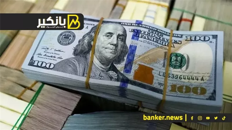 الجنيه صامد وضربات أمنية لتجار العملة.. إيه اللى بيحصل فى سوق صرف العملات الأجنبية؟