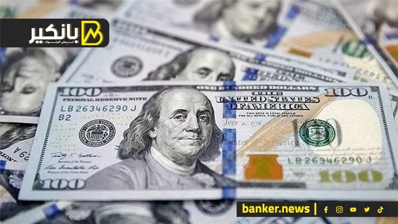 هروب 5 ملياردولار من السوق.. ورطة جديدة للحكومة
