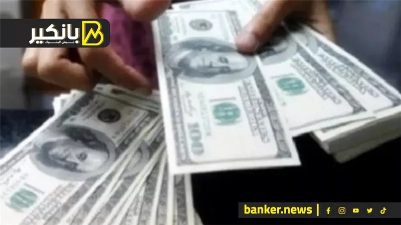 53 مليار دولار.. قفزة في خميرة البنوك من الدولارات
