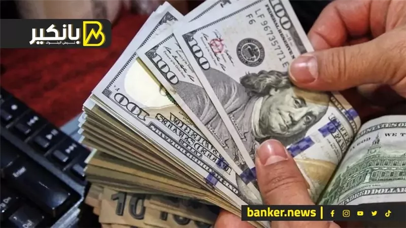 استقرار سعر الدولار أمام الجنيه ختام تعاملات اليوم 7 أغسطس 2024