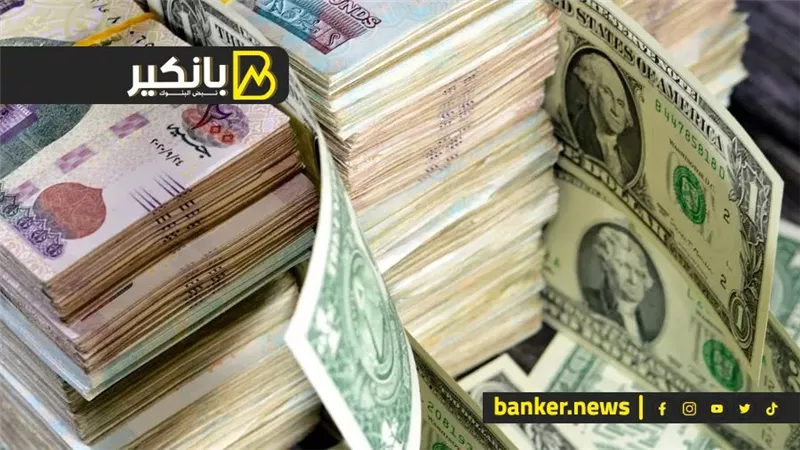 ليه مصر ببتوسع فى أدوات الدين بالعملات الأجنبية؟.. وإيه تأثير ده على الدولار
