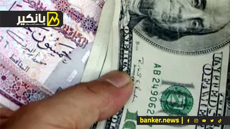 آخر تحديث| سعر الدولار في البنوك المصرية صباح اليوم الثلاثاء 13-8-2024
